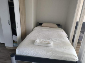 9 Beds including 3 Double Beds, 4 Single Beds, 2 Sofa Bed, Suite 1, 37 Totara Avenue, New Lynn